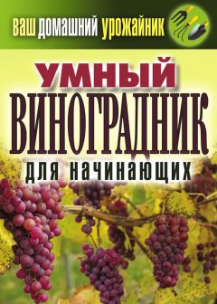 Анна Кузнецова - Домашний виноградник