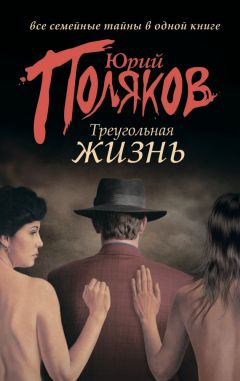 Юрий Огородников - Жизнь, поиски и метания Андрея Георгиевича Старогородского