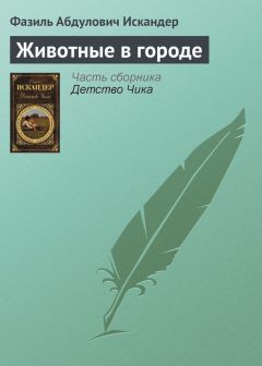 Фазиль Искандер - Ночь и день Чика