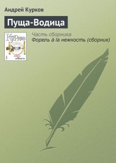 Андрей Курков - Об овощном супе и иностранцах