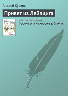 Андрей Курков - Время невидимых перемен