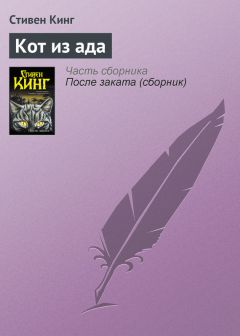 Стивен Кинг - Кот из ада