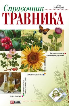 Ольга Климова - Живица Земная. Советы и рецепты от известного травника