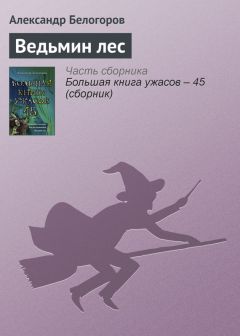 Александр Белогоров - Проклятье колдуна