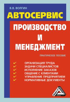 Владислав Волгин - Автосервис. Производство и менеджмент: Практическое пособие