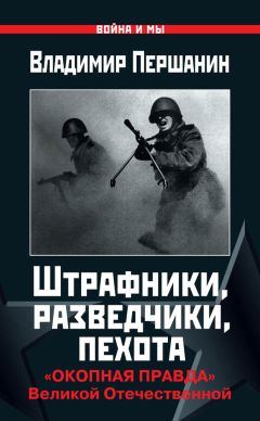 Артем Шейнин - Десантно-штурмовая бригада. Непридуманный Афган