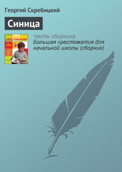 Георгий Скребицкий - Маленький лесовод