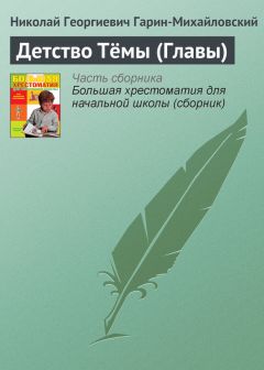 Николай Гарин-Михайловский - Детство Тёмы (Главы)