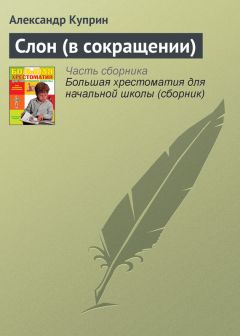 Александр Куприн - «Светлана»