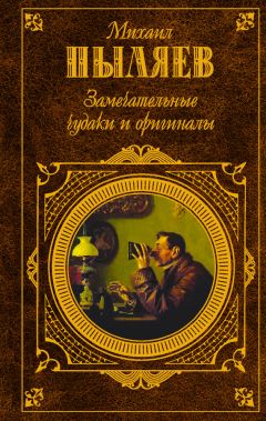 Михаил Брашинский - Дубровский: по мотивам фильма «Дубровский»
