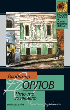 Владимир Орлов - Происшествие в Никольском (сборник)