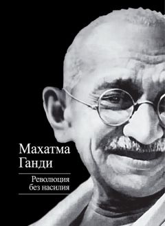 Давид Анин - Революция 1917 года глазами ее руководителей