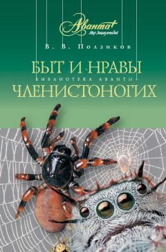 Родион Кудрин - Эмоциональный интеллект человека-оператора. Монография