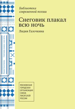 Лидия Галочкина - Снеговик плакал всю ночь