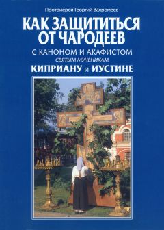 Протоиерей Георгий Бреев - Радуйтесь!