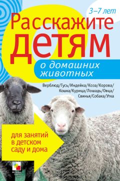 Э. Емельянова - Расскажите детям об Отечественной войне 1812 года