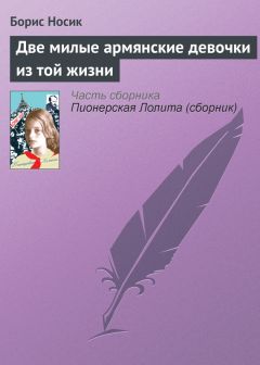 Борис Носик - Пионерская Лолита (сборник)