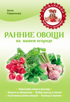 Вадим Тихомиров - Мед и все продукты пчеловодства. Как выбрать и как хранить