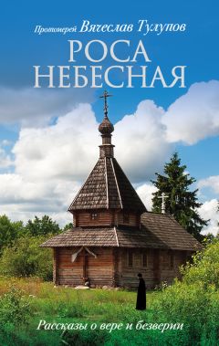 Мария Дикарева - Мой путь к Богу и в Церковь. Живые свидетельства 2000-х годов