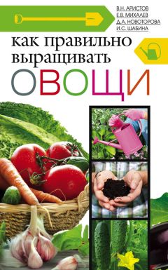 Ирина Шабина - Как правильно выращивать овощи