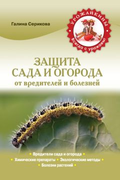 Галина Серикова - Современная садовая техника и приспособления
