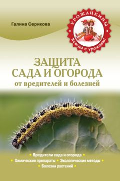 Галина Серикова - Прививка плодовых деревьев: распространенные ошибки и секреты успешной прививки