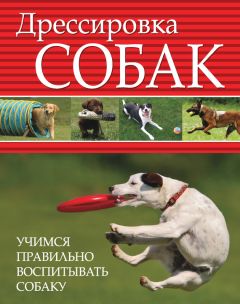 Любовь Орлова - Дрессировка собак. Учимся правильно воспитывать собаку