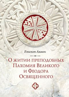 Епископ Виссарион (Нечаев)  - Уроки покаяния по библейским сказаниям