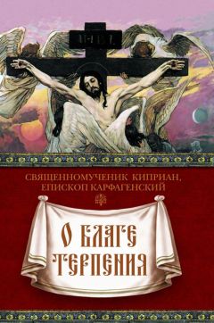 Священномученик Киприан Карфагенский - Книга о единстве Церкви