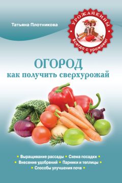 Галина Осипова - Огород. Работа на участке в вопросах и ответах