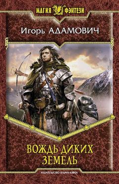 Кирилл Клеванский - Сердце Дракона. Книга 8