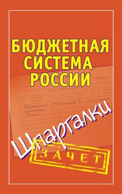 Надежда Орлова - Бюджетная система РФ. Ответы на экзаменационные билеты