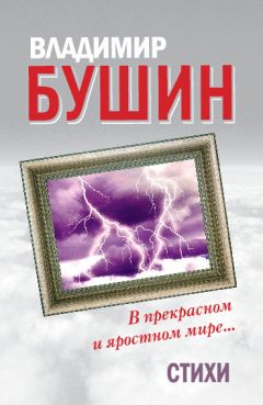 Владимир Бушин - В прекрасном и яростном мире… Стихи