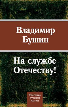 Владимир Бушин - Злобный навет на Великую Победу