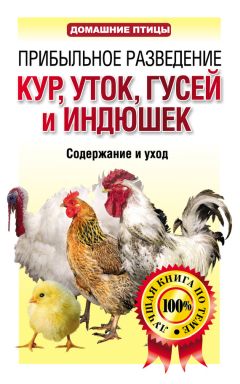 Артем Винюков - Декоративное и мясное голубеводство