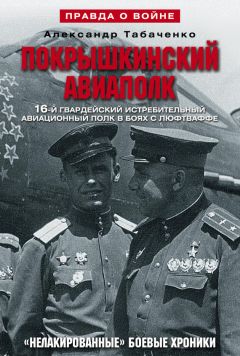 Владимир Поляков - Воздушные разведчики – глаза фронта. Хроника одного полка. 1941–1945