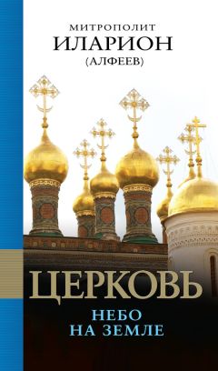 Михаил Шкаровский - Константинопольский Патриархат и Русская Православная Церковь в первой половине XX века