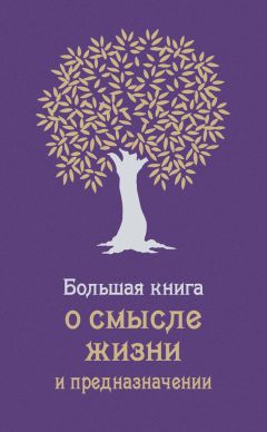 Андрей Жалевич - Большая книга о смысле жизни и предназначении