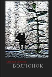 Наталья Сиденко - Тайны циркового закулисья. История одного артиста