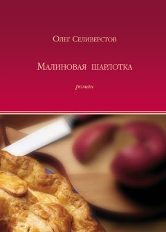 Олег Северюхин - В лабиринтах темного мира. Похождения полковника Северцева в трех томах