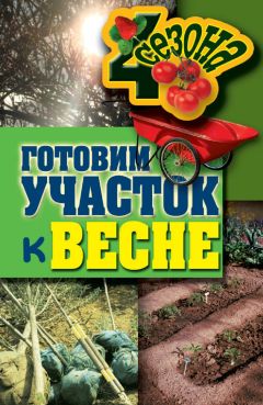 Анастасия Красичкова - Золотая книга приусадебного участка