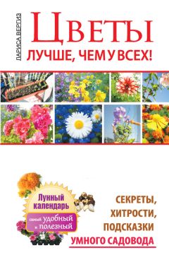 Ольга Страшнова - Хозяйственные постройки на садовом участке
