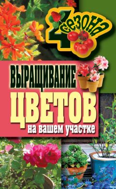 Ирина Барабанова - Цветы из ткани. Базовый уровень