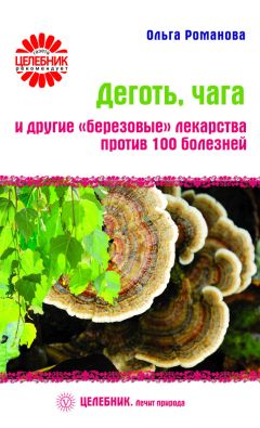 Ольга Романова - Шиповник, боярышник, калина. Очищение и восстановление организма