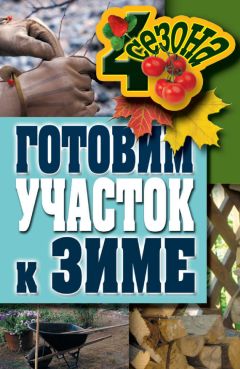 Михаил Шевченко - Водоснабжение и электроснабжение на дачном участке