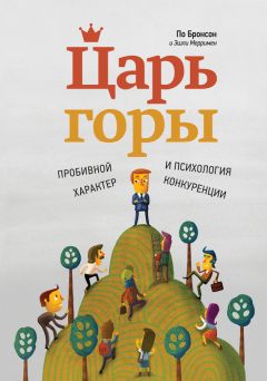 Эшли Мерример - Царь горы. Пробивной характер и психология конкуренции