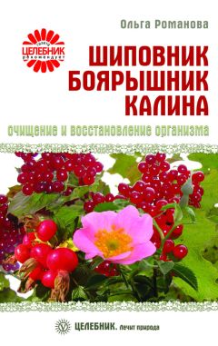 Ольга Романова - Шиповник, боярышник, калина. Очищение и восстановление организма