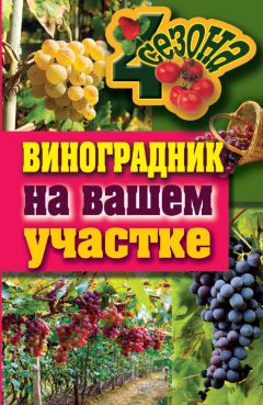 Алексей Райт - Виноград на вашей даче. Растет не только на юге!