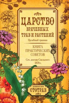 Ольга Климова - Живица Земная. Советы и рецепты от известного травника