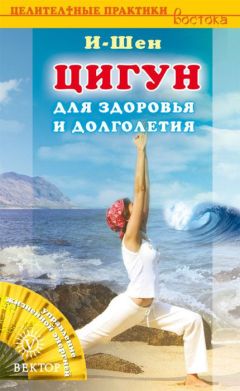  И-Шен - Сила Шаолиня. Кунг-фу, тайцзи-цюань, цигун. Древняя тайна бессмертия